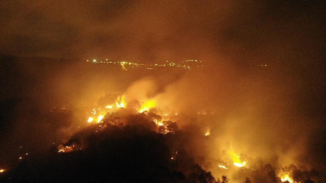 Pendik’te korkutan orman yangını