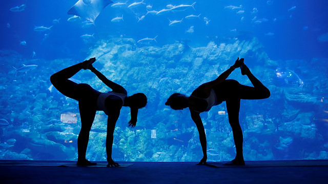 People take part in a yoga class at Ocean Park's aquarium, as a new activity to attract visitors amid a drop in tourists due to the coronavirus disease (COVID-19) outbreak, in Hong Kong, China October 8, 2020. REUTERS/Tyrone Siu

