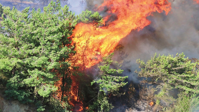 Ormanları PKK yakıyor