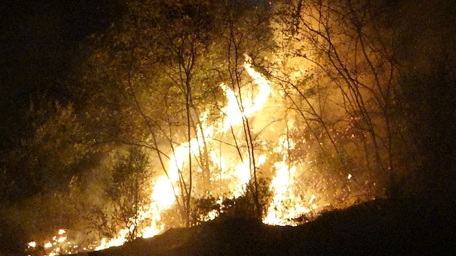 Trabzon’un Akyazı mahallesinde örtü yangını söndürüldü.