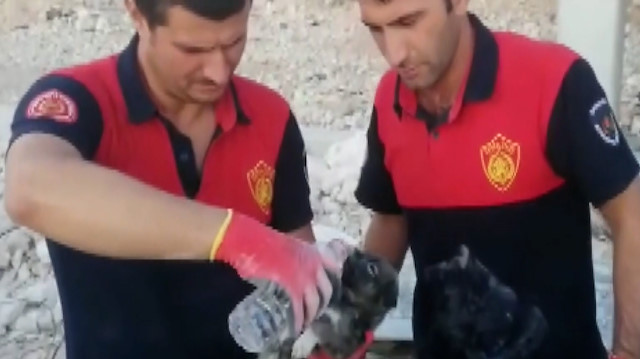 Çöken toprak ve kaya yığınının altında kalan yavru köpeği itfaiye ekipleri kurtardı