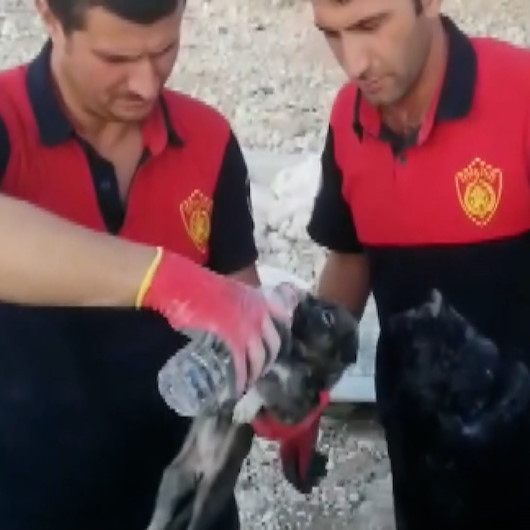 Çöken toprak ve kaya yığınının altında kalan yavru köpeği itfaiye ekipleri kurtardı