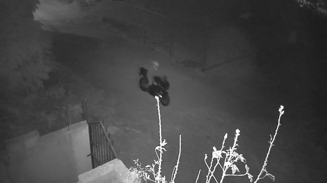 Hatay'da gece vakti evin önündeki 75 bin liralık motosikleti böyle çaldılar