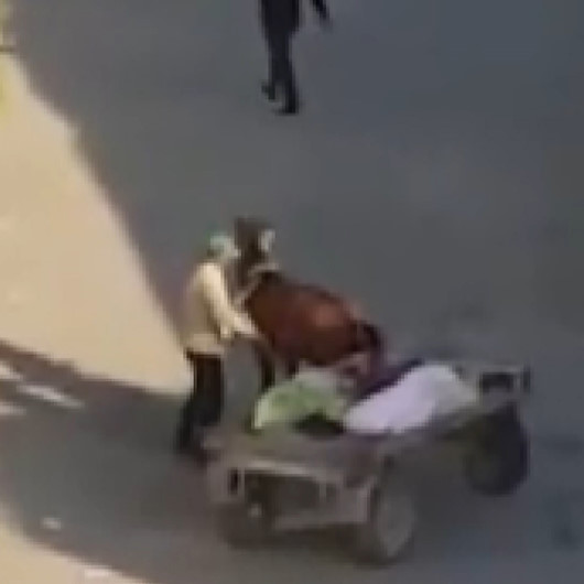 Iğdırda yorgunluktan arabayı çekemeyen atı şişleyen vicdansız kamerada