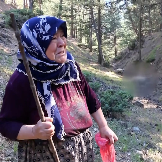 Kurtların saldırısında koyunları telef oldu, gözyaşlarına boğuldu