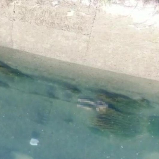 Kanalda kayboldu, cesedi drone ile bulundu