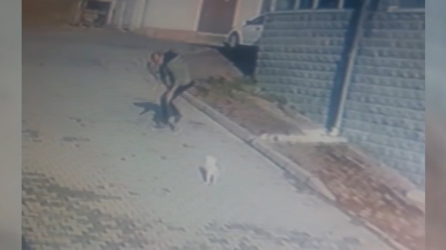 Köpeği önce sevdi, sonra kaçırdı; o anlar güvenlik kameralarına yansıdı