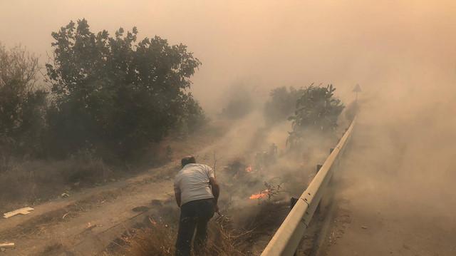 Fire at forestland in Turkey's Hatay

