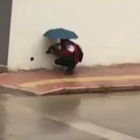 Antalyada iç ısıtan görüntüler: Islanmasın diye şemsiyesiyle sokak köpeğinin başında bekledi