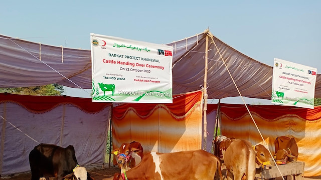 الهلال الأحمر التركي يدعم مزارعين باكستانيين برؤوس ماشية