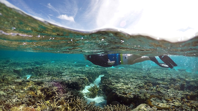 FILE PHOTO: A tourist snorkels above coral in the lagoon located on Lady Elliot Island on the Great Barrier Reef, 80 kilometers north-east from the town of Bundaberg in Queensland, Australia, June 9, 2015. REUTERS/David Gray//File Photo

