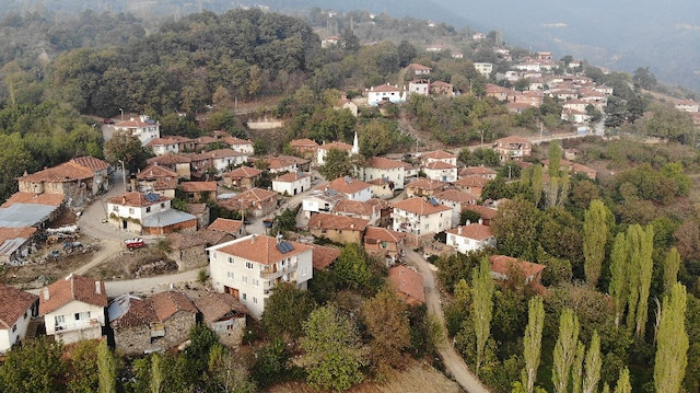 Bursa'nın Osmangazi ilçesindeki Bağlı köyü.