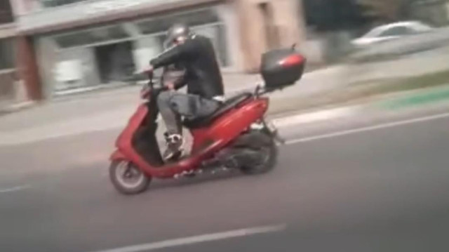 Trafikte ilginç anlar: Motosikletini kamçılayan adam
