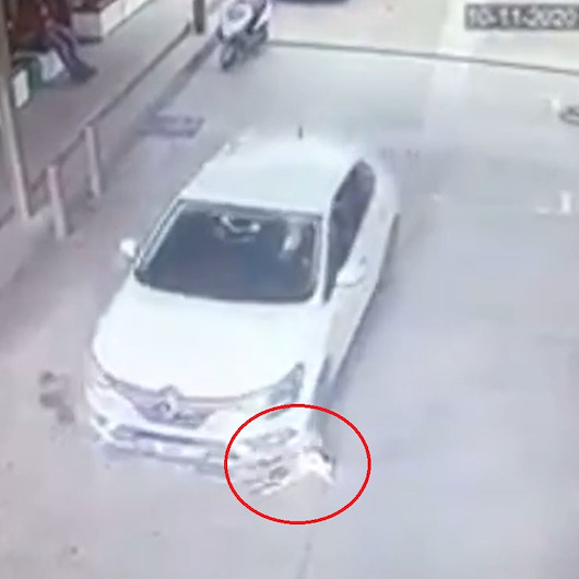 Otomobilin 2 köpeği ezdiği an kamerada