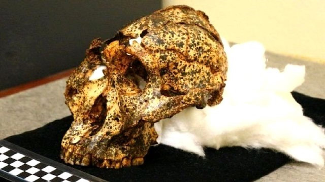 Bir erkeğe ait olduğu iddia edilen kafatasının 2 milyon yıllık olduğu ortaya çıktı.