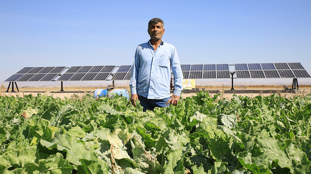 Aksaraylı çiftçi, tarlasına kurduğu güneş enerji santraliyle büyük avantaj elde etti.