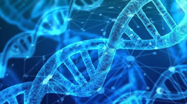  DNA barkodu, alkole uygulanarak sıvıya kimlik tanımlanıyor.