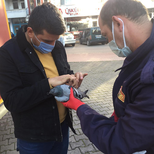 Ayağına ip dolanan güvercini itfaiye ekipleri kurtardı