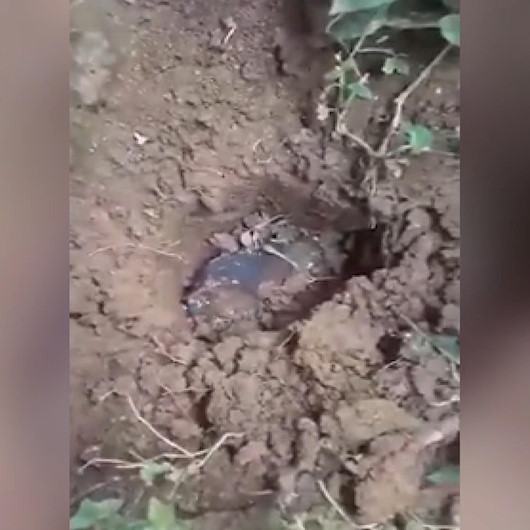 Endonezyada evinin bahçesine göktaşı düşen kişi milyoner oldu