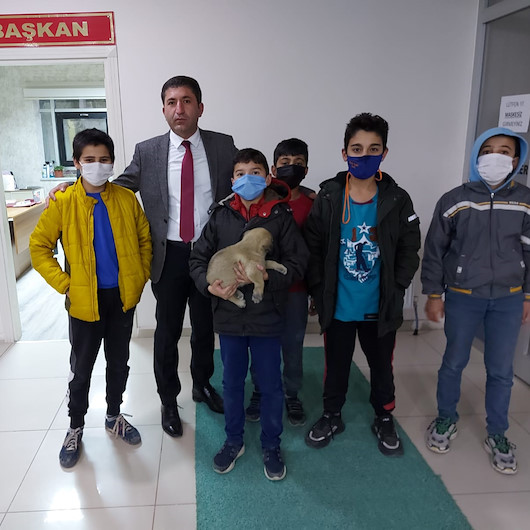Küçük çocukların yaralı köpek için verdiği çaba yürekleri ısıttı