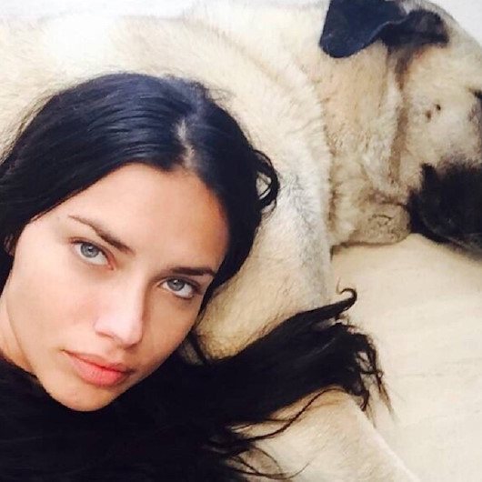 Sivastan Adriana Limaya üçüncü kangal köpek çağrısı