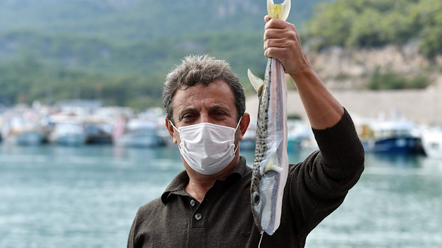 Balon balığının kuyruğundan para kazanmaya hazırlanan balıkçılar kampanyadan dolayı memnun.