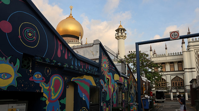 Street art adorn old conserved shophouses next to the Sultan Mosque in Kampong Glam