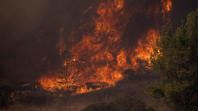 Yıl içerisinde 8 bin 500 civarındaki orman yangınında 16 bin kilometrekareden fazla alan zarar gördü,