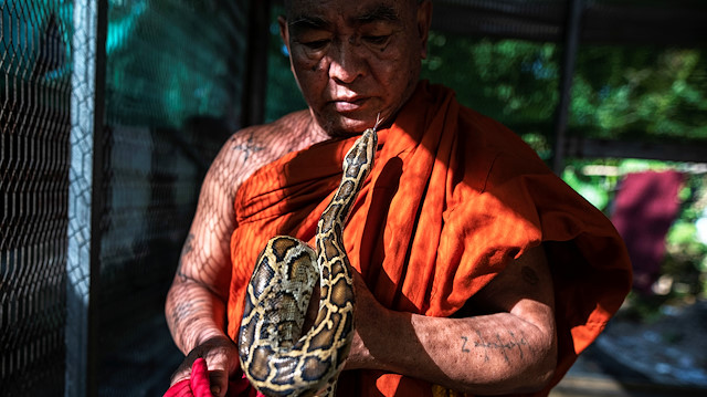 Buddhist monk Wilatha holds a rescued Burmese python at his monastery that has turned into a snake sanctuary on the outskirts of Yangon, Myanmar, November 26, 2020. Picture taken November 26, 2020. REUTERS/Shwe Paw Mya Tin TPX IMAGES OF THE DAY

