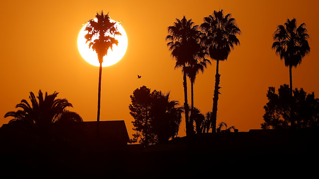 The morning sun rises over a neighborhood as a heatwave continues