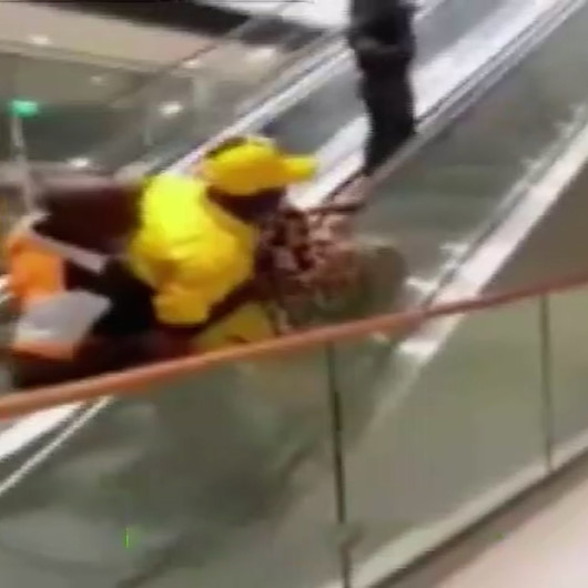 Kamerunda insanların yürüyen merdivenle imtihanı