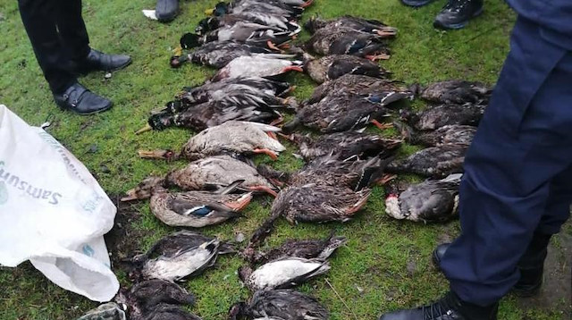 Kuş Cenneti'nde 32 ördeği kaçak avlayan 2 kişiye suçüstü yapıldı.
