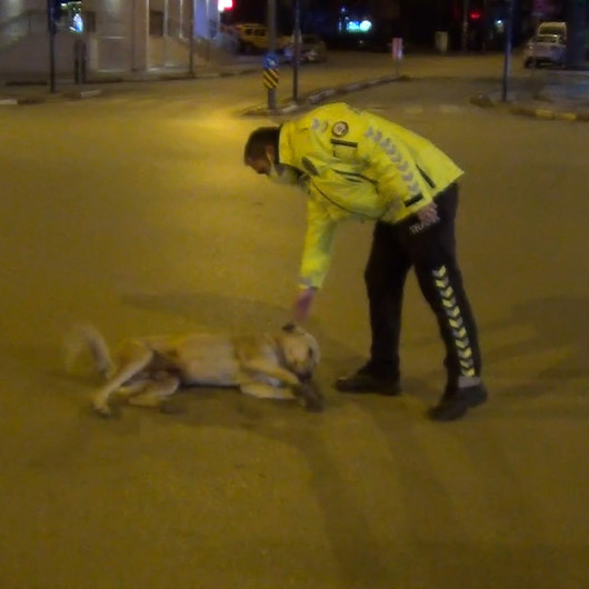 Bursada gülümseten görüntü: Köpeğin başına bir şey gelmesin diye dakikalarca yoldan kaldırmaya uğraştı