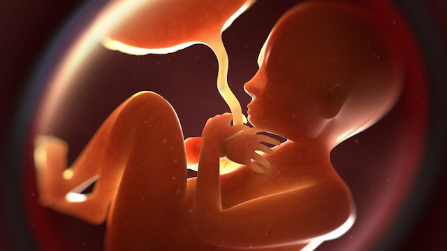 Parçacıkların bebeklerin bedenlerine girip girmediği ise araştırmacılar tarafından değerlendirilemedi. 