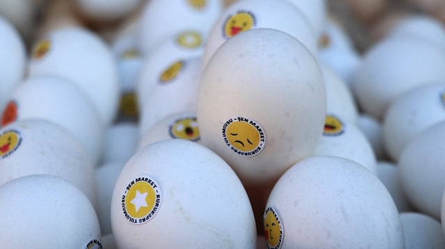 Yumurtanın 30’lu paket fiyatı 25-30 liranın üzerine çıkarak neredeyse kırmızı et ile yarışmaya başladı.