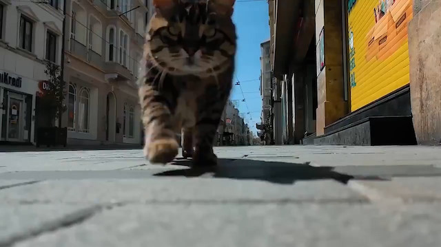 Enerji ve Tabii Kaynaklar Bakanı Fatih Dönmezden videolu paylaşım: Mesele insansa, enerjide bahaneye yer yok