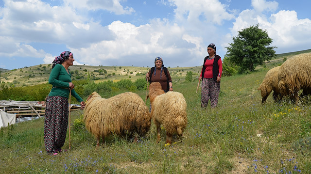 Eski mesleklere yeni isimler