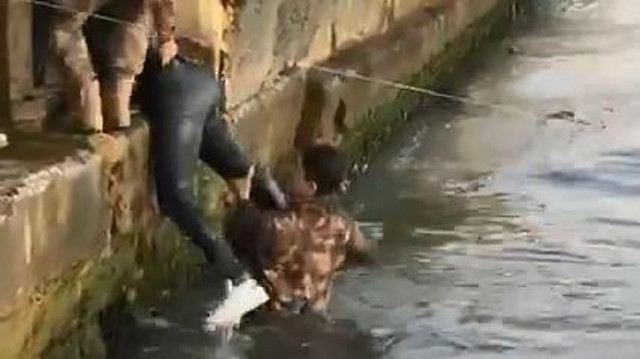 Özel Harekat polisi Ortaköy Sahili'nde denize düşen turisti kurtardı