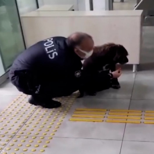 Antalyada yağmurdan ıslanan köpeğe, polis şefkati
