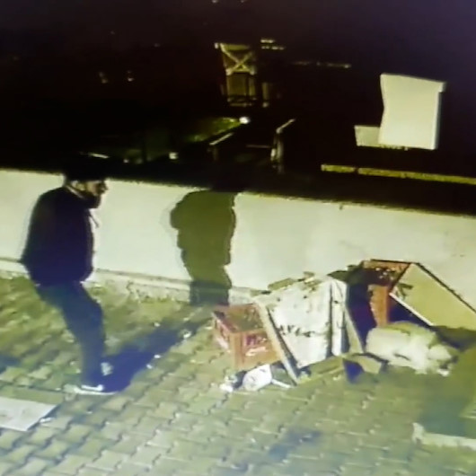 Hırsızla sokak köpeğinin birbirinden kaçtığı anlar kamerada