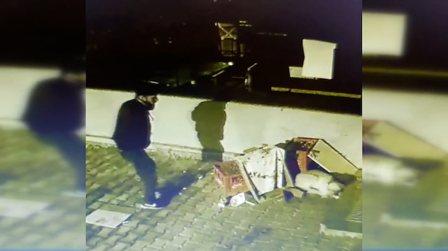 Hırsızla sokak köpeğinin birbirinden kaçtığı anlar kamerada