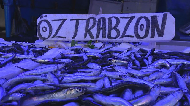 Karadenizli balıkçılar hamsi avı yasağı uzatılsın çağrısı yaptı. 
