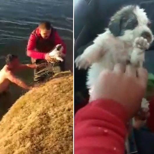 Vanda yürekleri ısıtan görüntü: Buz gibi suya girip çaya düşen yavru köpeği kurtardı