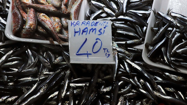 Avlanma yasağı getirilen hamsinin kilosu 40 liraya yükseldi