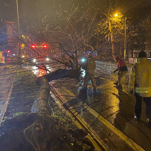 Bağdat Caddesinde şiddetli sağanak ve rüzgar nedeniyle ağaç devrildi
