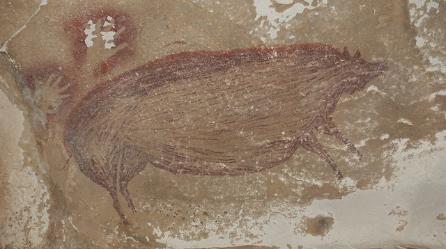 Endonezya'da mağaraya çizilmiş en eski hayvan resmi  bulundu