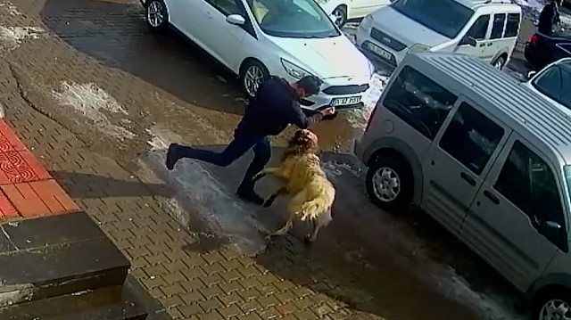Bitlis'te kendisine saldıran köpeği yumruklayarak kurtulan adam kamerada
