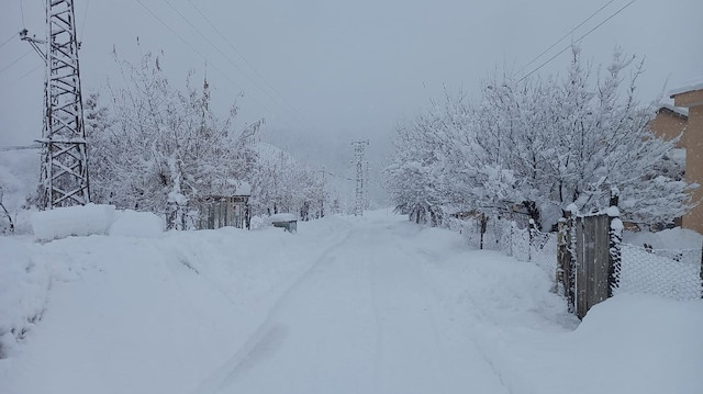Tunceli'de yoğun kar yağışı nedeniyle onlarca köye ulaşım sağlanamıyor. 