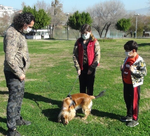 antalya da pitbull dehseti dislerinin