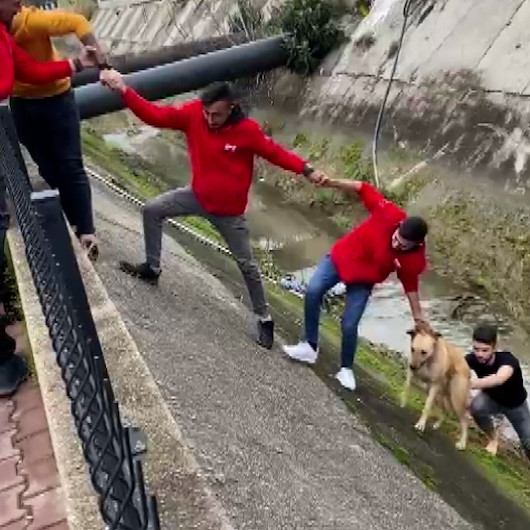 Su kanalına düşen köpek el birliğiyle kurtarıldı